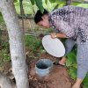 โครงการถังขยะเปียกลดโลกร้อน
